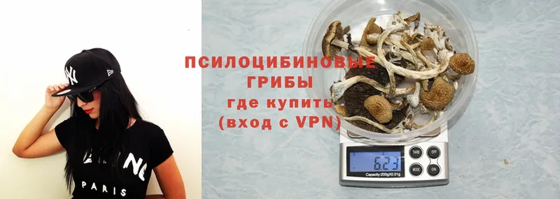 Галлюциногенные грибы Psilocybine cubensis  Духовщина 